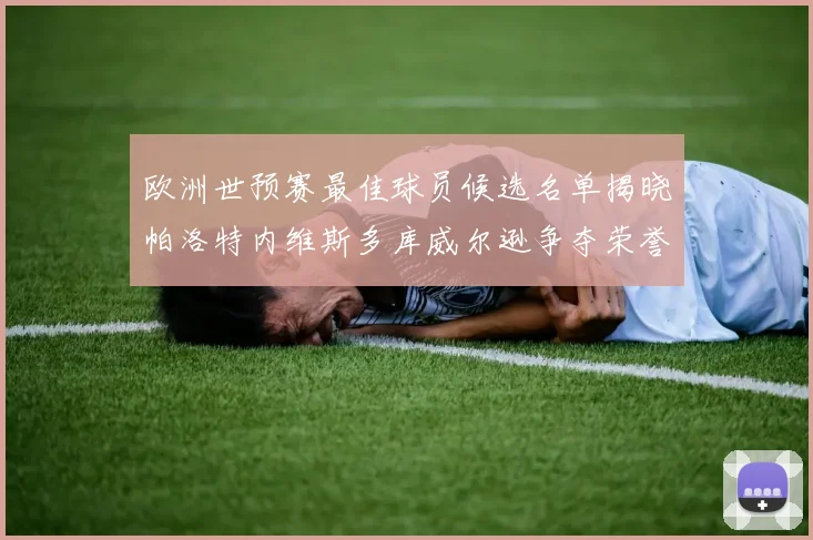 欧洲世预赛最佳球员候选名单揭晓帕洛特内维斯多库威尔逊争夺荣誉